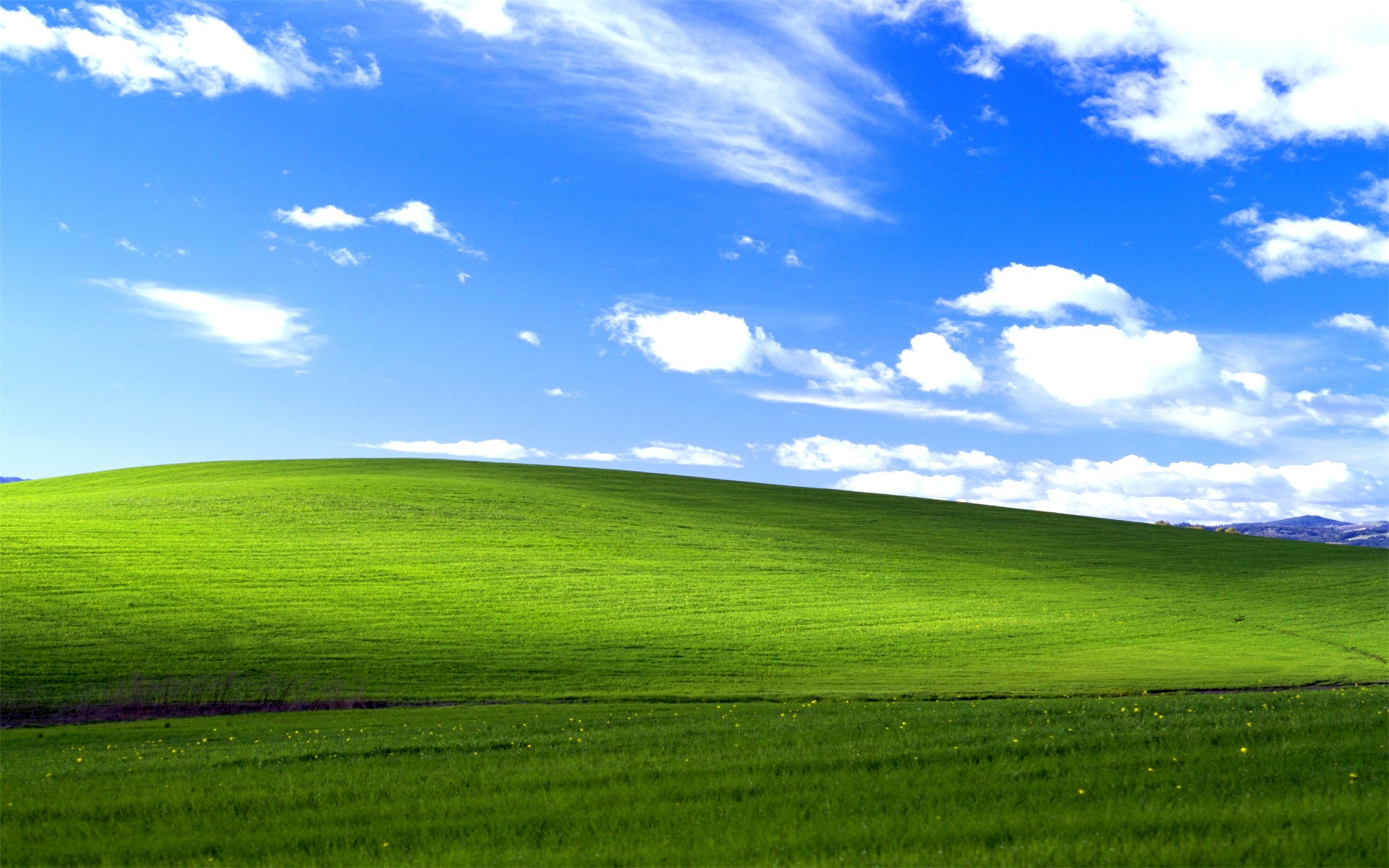 Windows XP була однією з найбільш успішних операційних систем