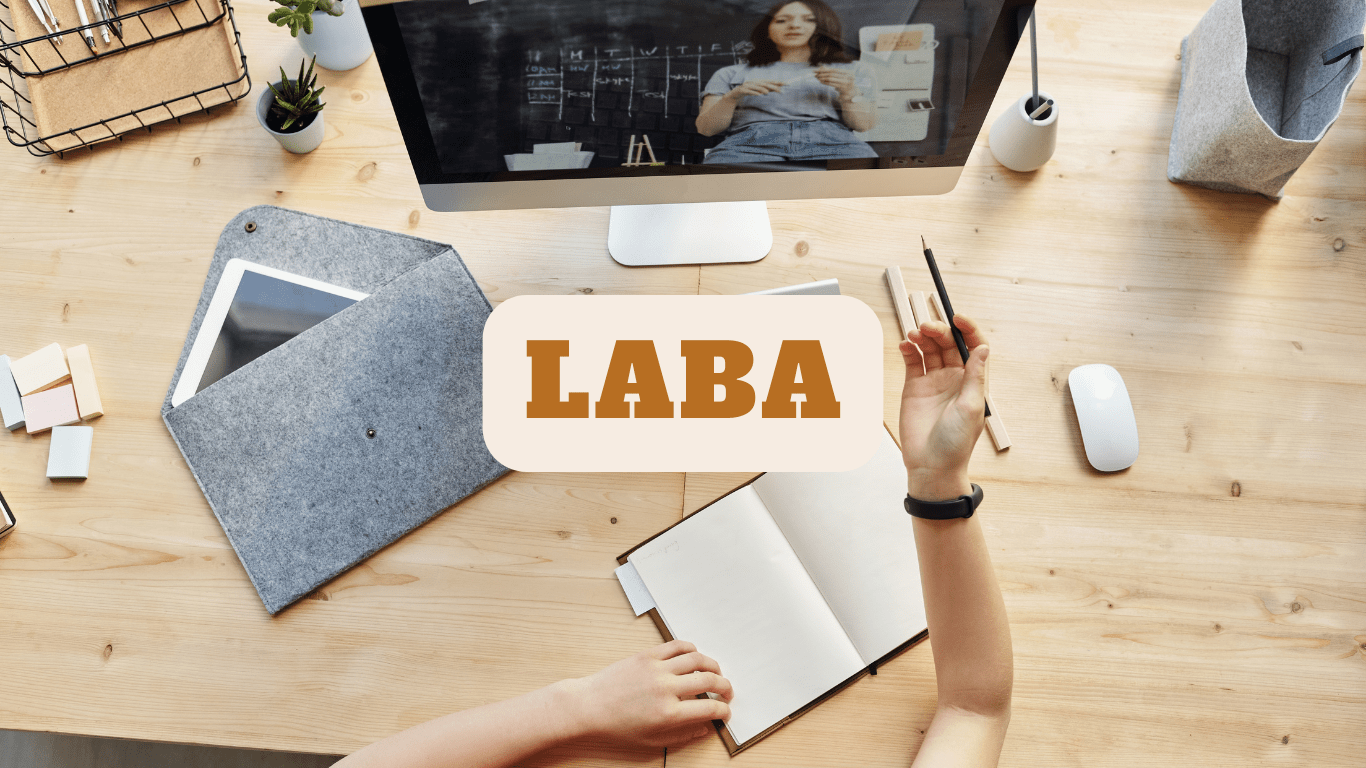 Laba — Огляд міжнародної бізнес школи